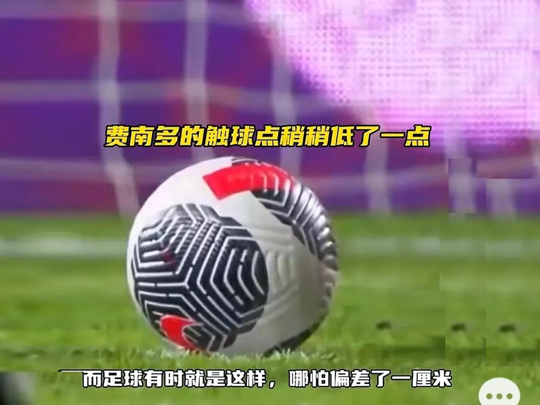 从不惧怕挑